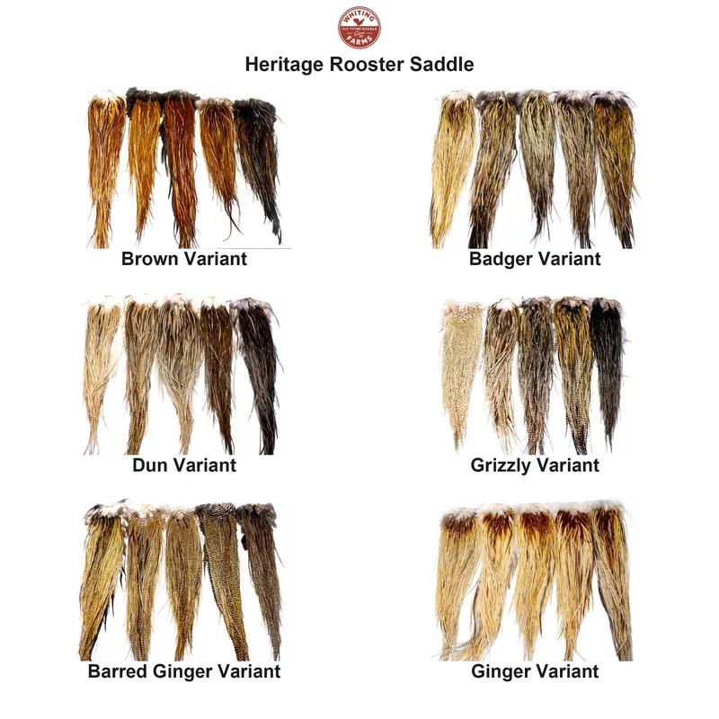 Whiting Heritage Rooster Saddle