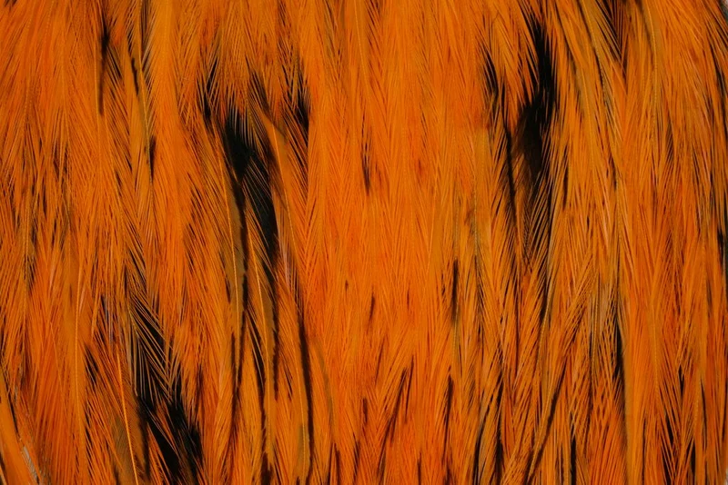 Whiting American Rooster Cape - Naturbraun