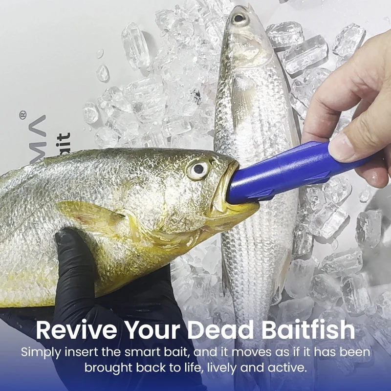 Kanama Smart Bait All-in-One Verkaufsset