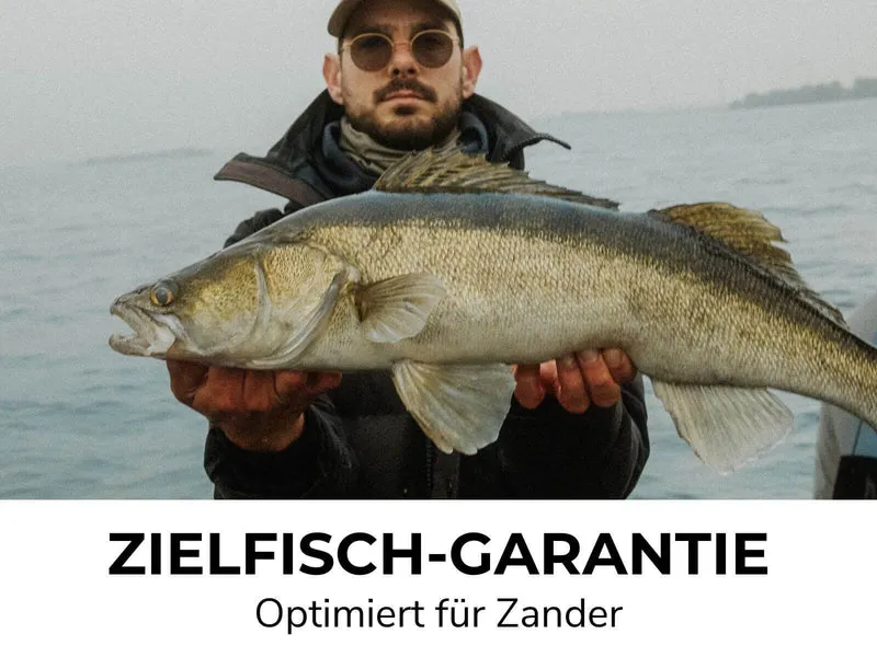 ACAN - Zander Gummiköder