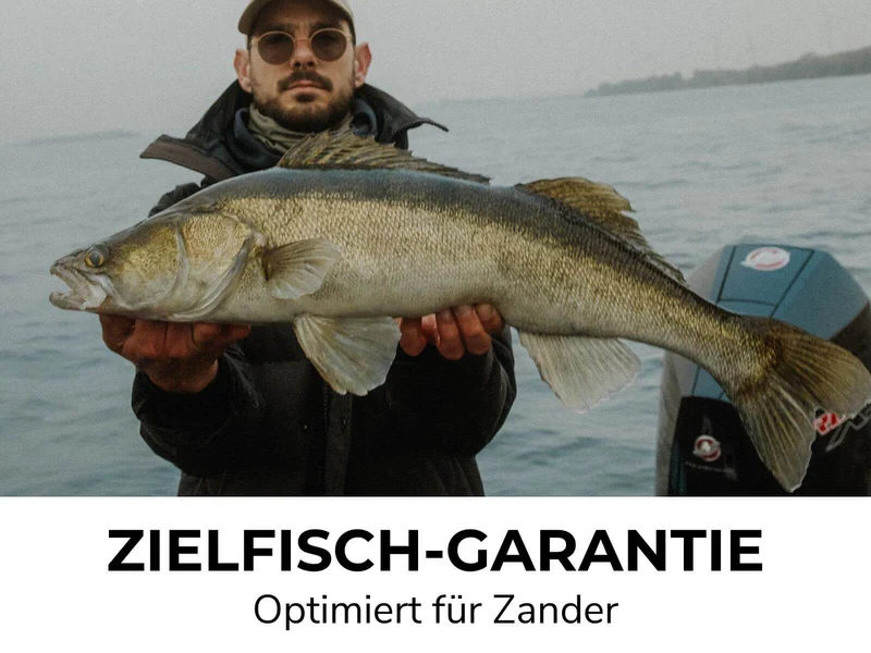 ZANDER GO KIT - Zander Starter Combo