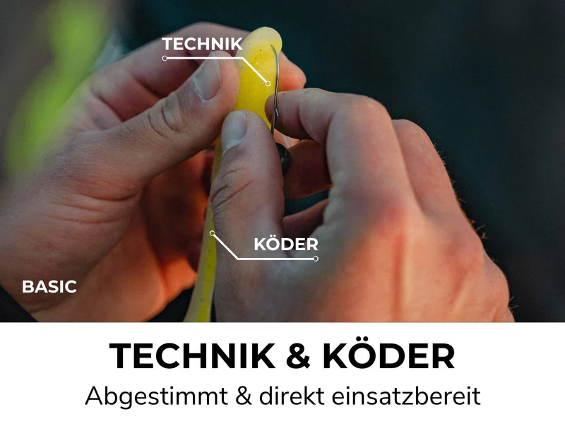 HECHT BOX - Köder & Rigs