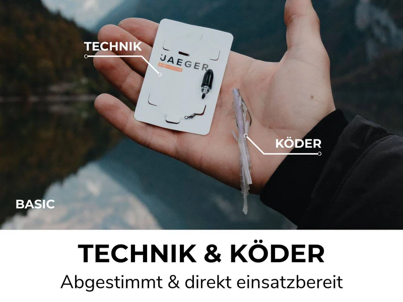 BARSCH BOX - Köder & Rigs
