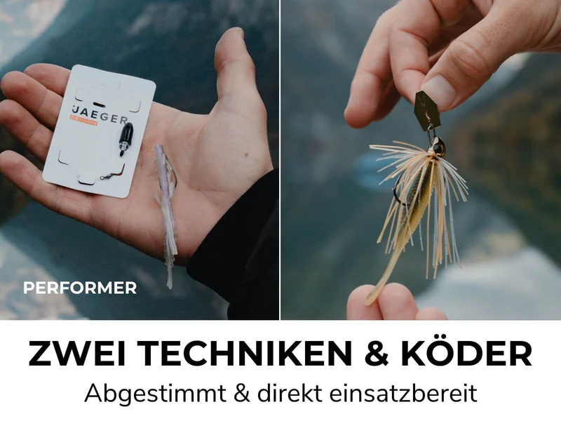 BARSCH BOX - Köder & Rigs