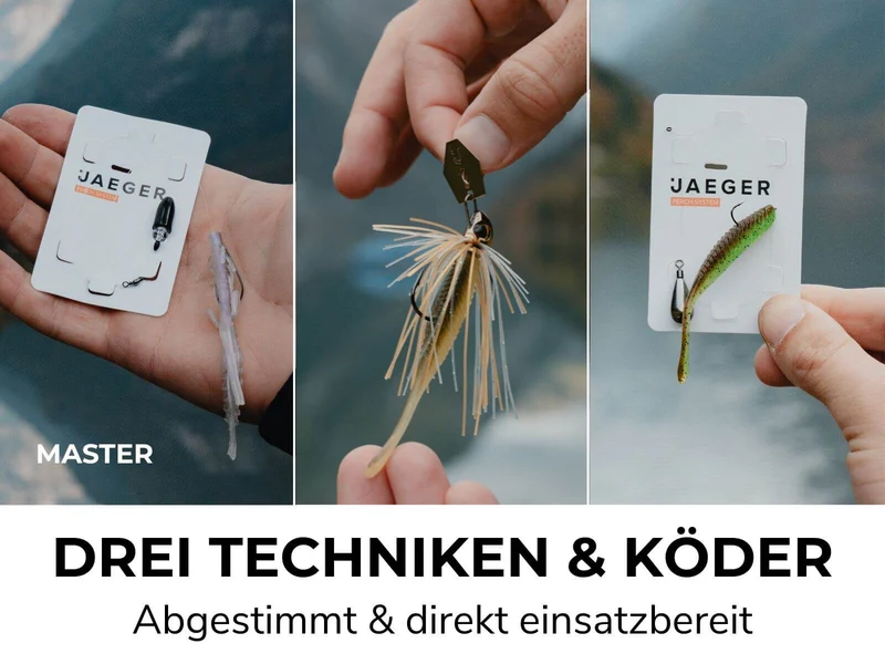BARSCH BOX - Köder & Rigs