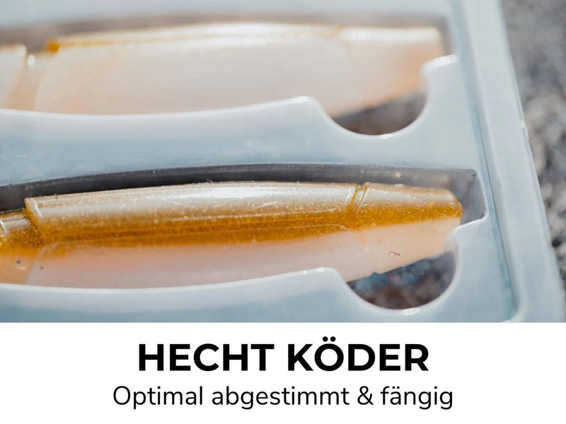 HECHT & BARSCH Bundle - 2x Go Kits