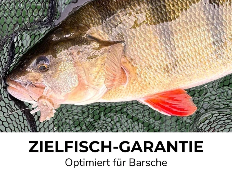 PARA - Barsch Gummiköder