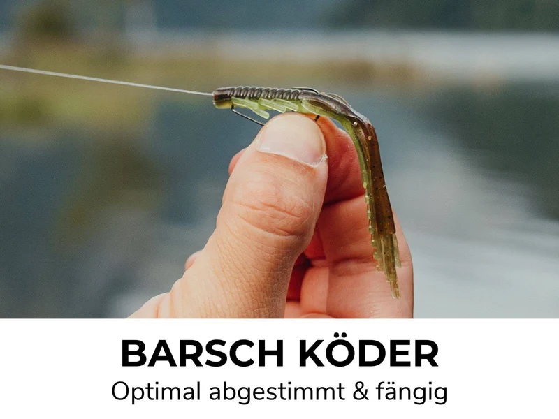 PERCH GO KIT 2 - BARSCH STARTER COMBO