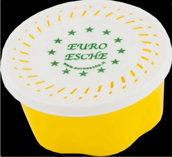 Bienenmaden 1 Dose ( Nur Abholung )
