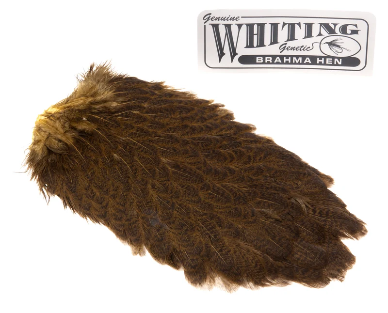 Whiting Brahma Sattel - Golden Olive