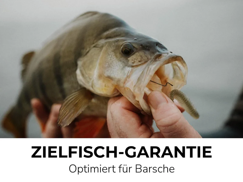 ABRAM (8 Stück) - Barsch Gummiköder