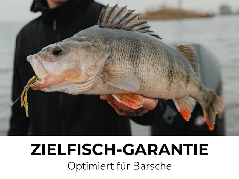 ASTA (8 Stück) - Barsch Gummiköder