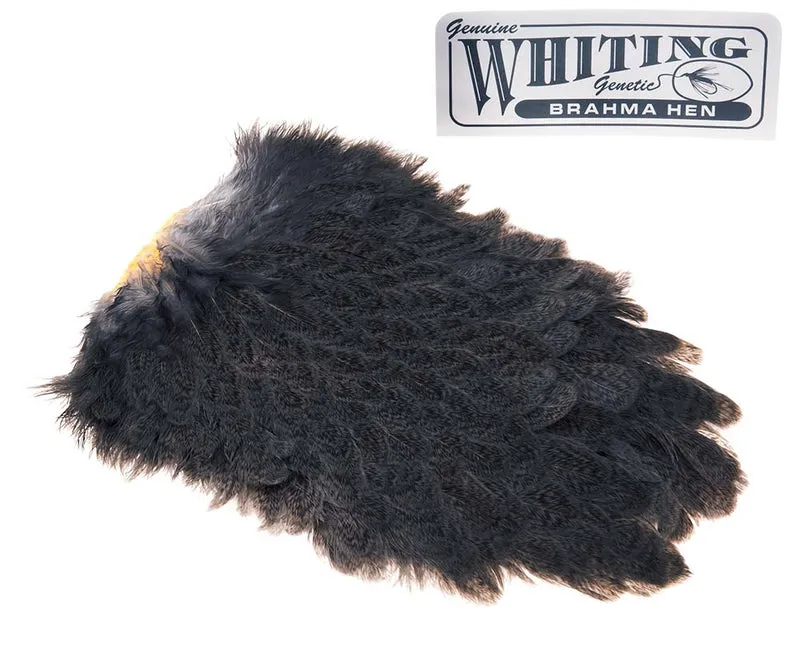 Whiting Brahma Sattel - Gesprenkeltes Grau