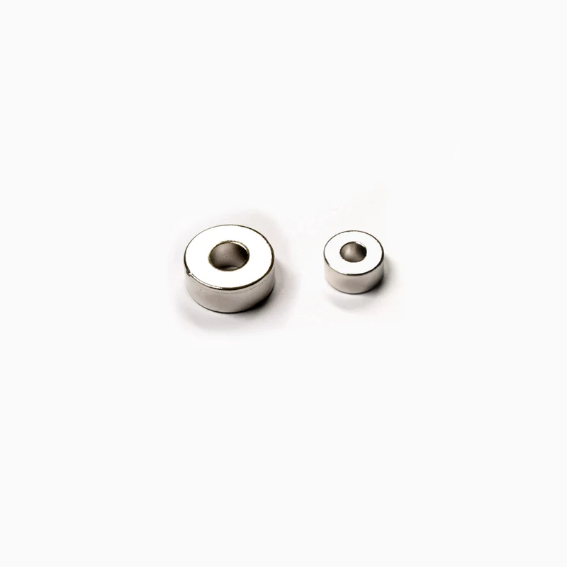 Ring-Magnet