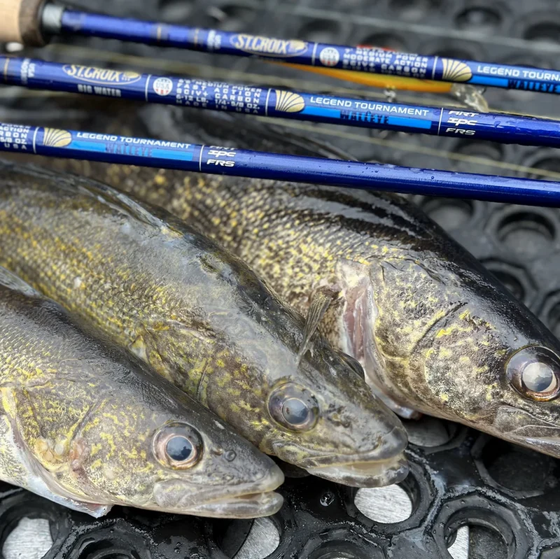 St.Croix Legend Tournament Walleye / Spinning / 1 & 2 Teilig