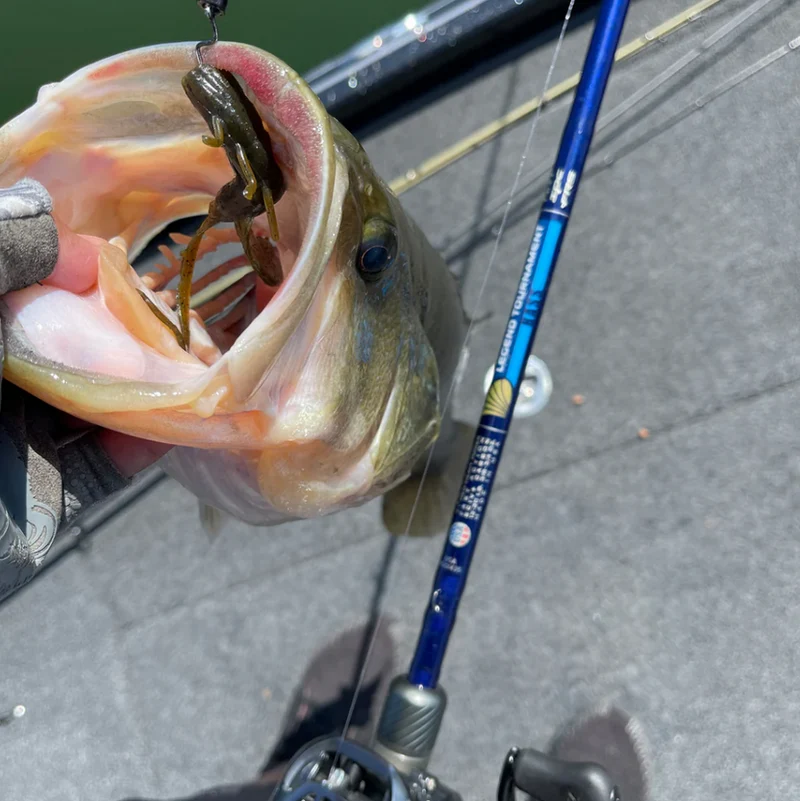 St.Croix Legend Tournament Bass / Casting / 1 Teilig