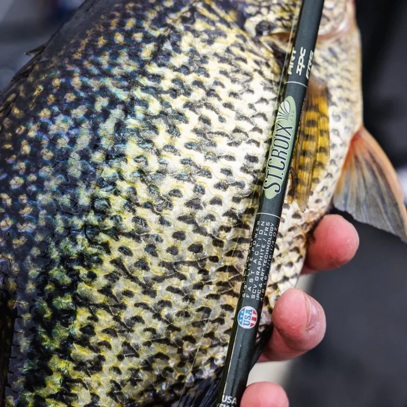 St.Croix Legend Elite Panfish / Spinning / 1 Teilig