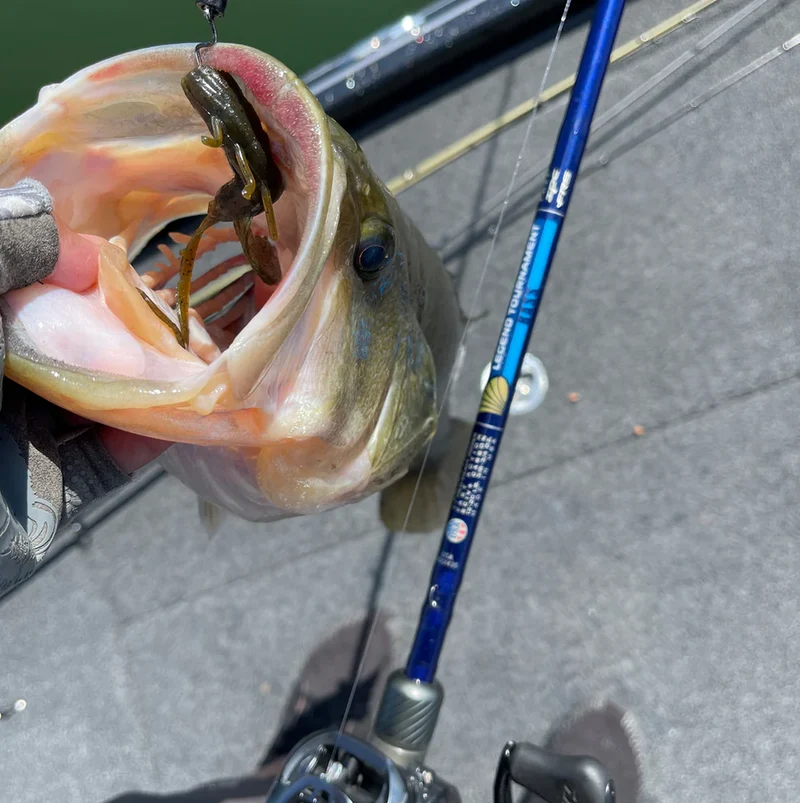 St.Coix Legend Tournament Bass Spinning / 1 Teilig