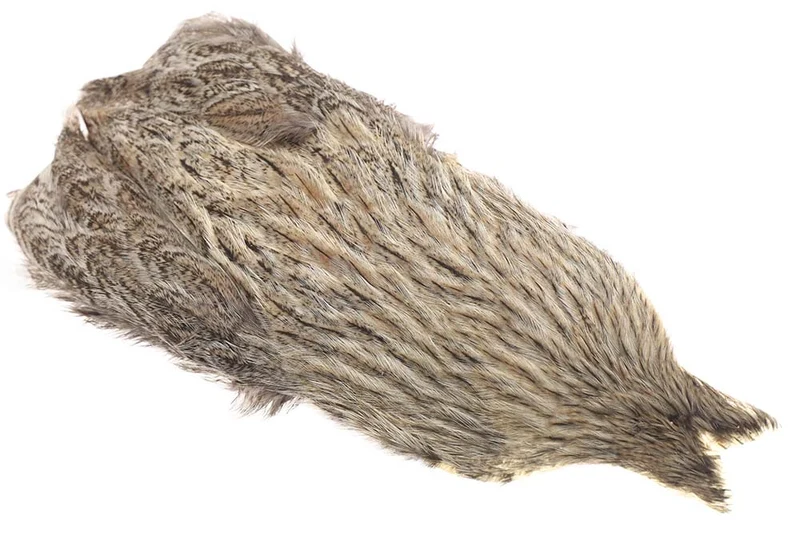 Whiting Coq de leon Hen Cape - Silbergesprenkelt