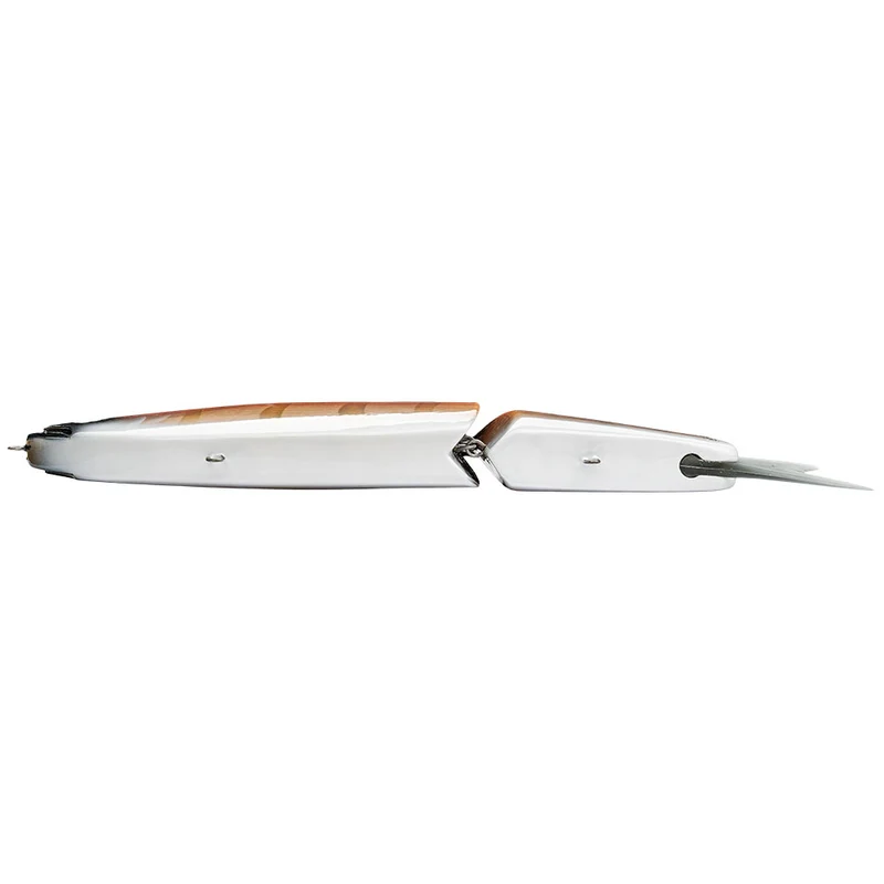 Swimbait