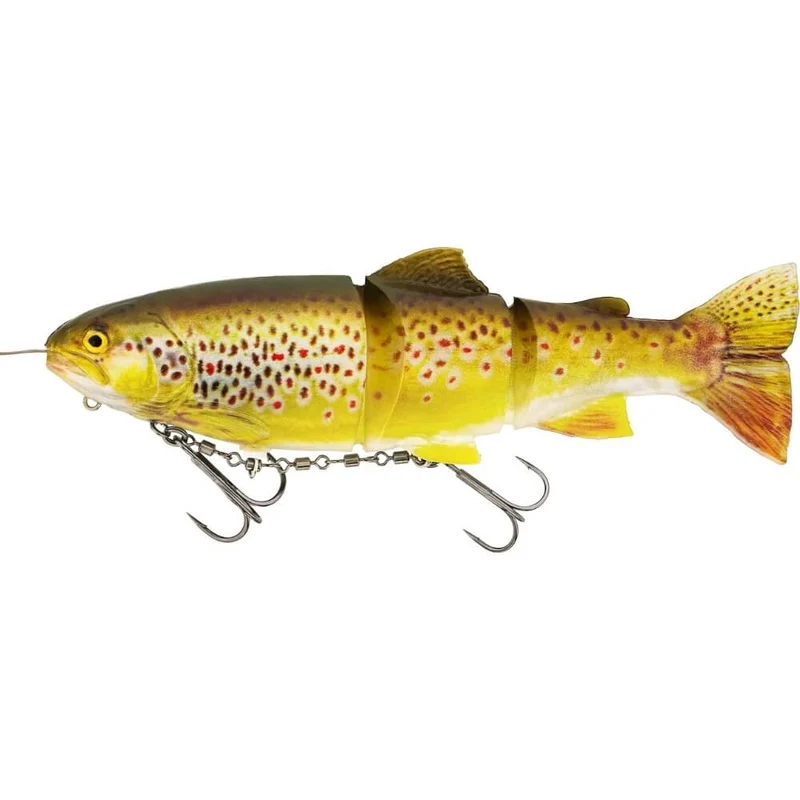 Tommy The Trout Inline