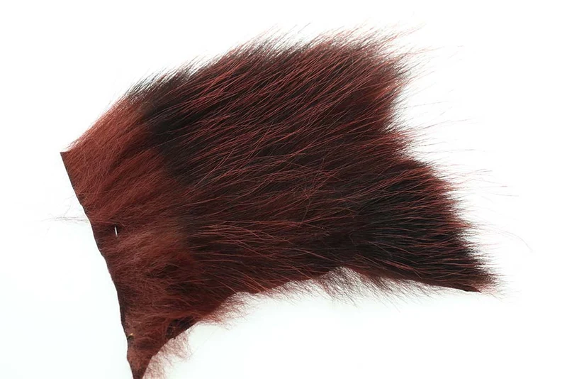 Futurefly Amerikanisches Opossum - Phatagorva