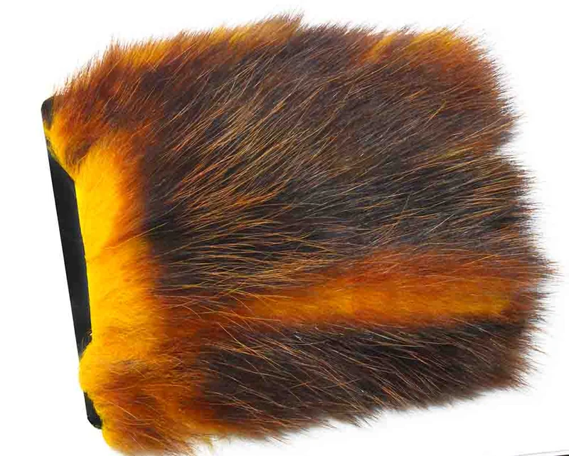 Amerikanisches Opossum (Herbst)