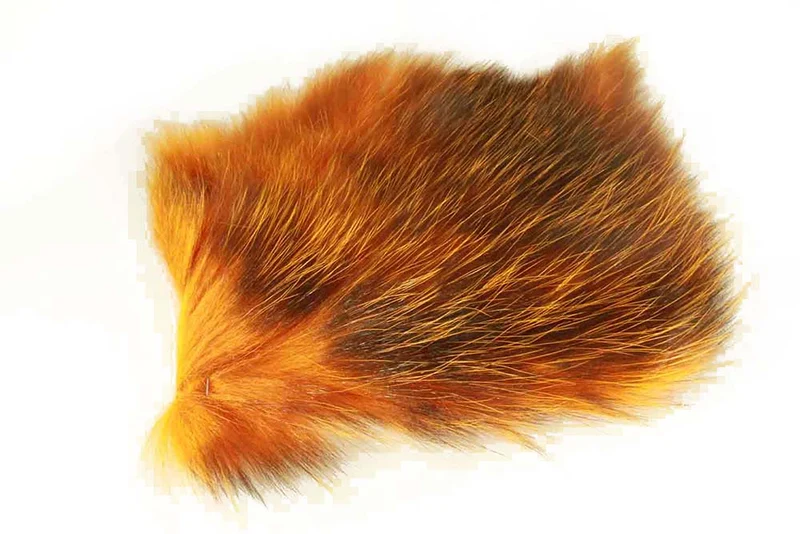 Futurefly Amerikanisches Opossum - Sonnenstrahl