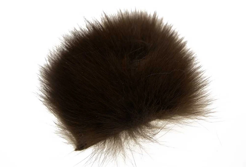 Körperfell des Polarfuchses – Braun