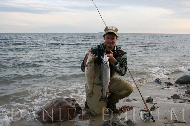 Whiting Coq de leon Cape - Badger Orange