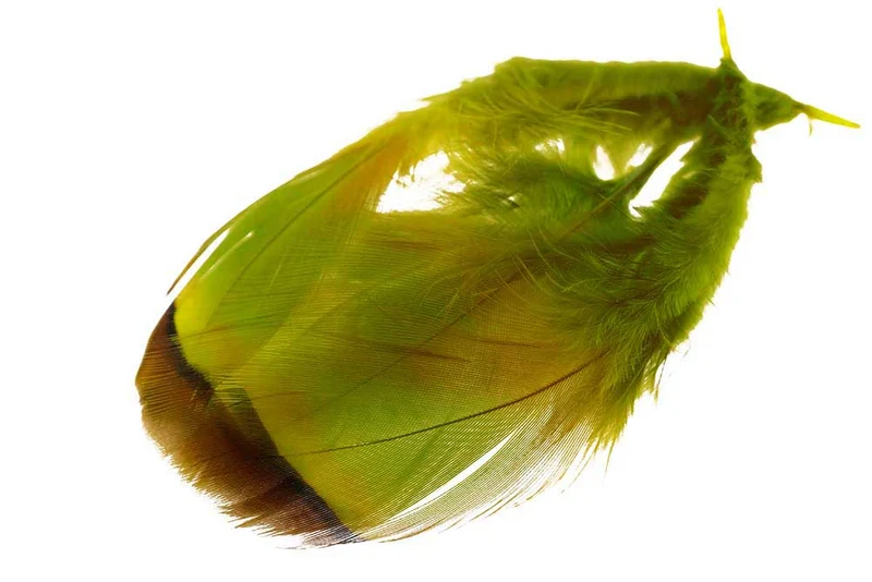 Französisches Rebhuhn - Olive