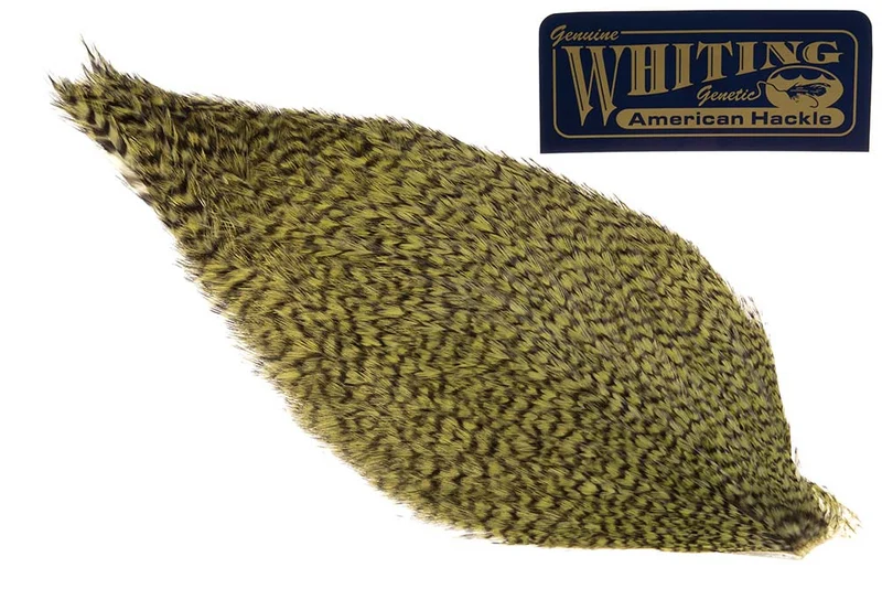 Whiting American Rooster Cape - Grizzly Dark Olive
