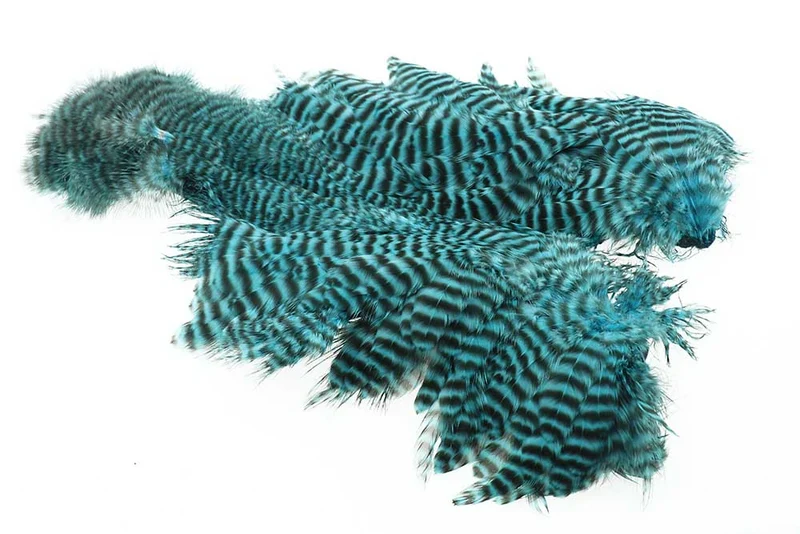 Ewing-Eisvogel, Blauer Grizzlybär, Körper-Marabu-Fleck
