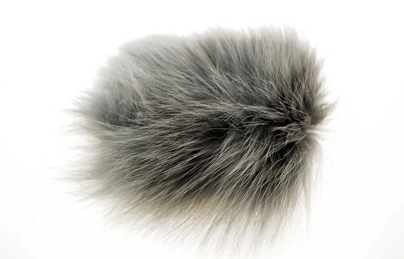 Körperfell des Polarfuchses – Grau