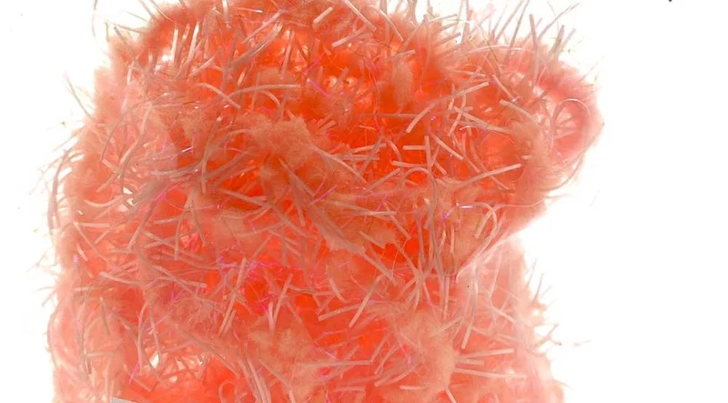 Creeper-Chenille – UV-Prawn