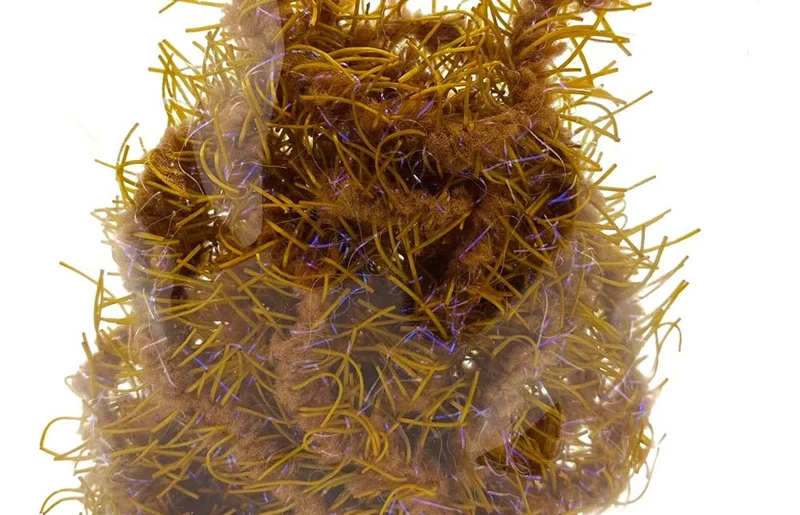 Creeper Chenille – UV-Braun
