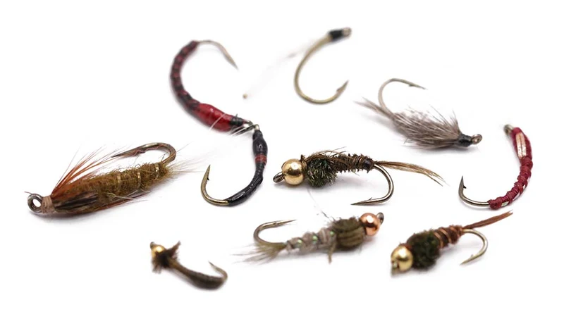 10 gemischte Nymphen