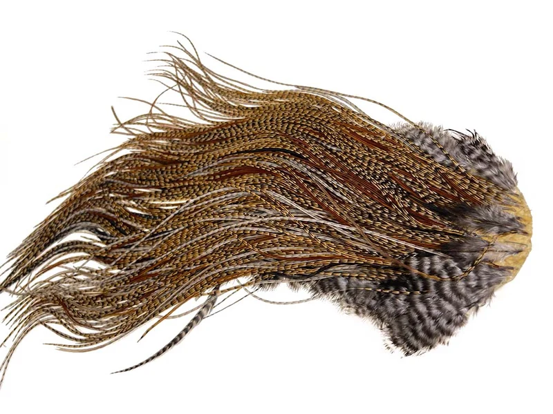 (Bronze-Qualität) Whiting Red Label Sattel - Cree