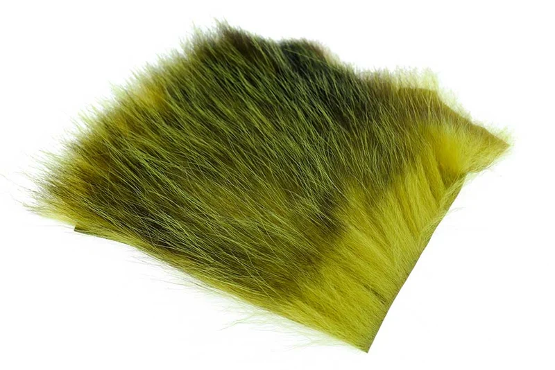 US-Opossum – Goldene Olive