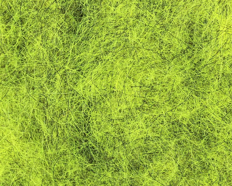 Nymphendub - Viele Farben