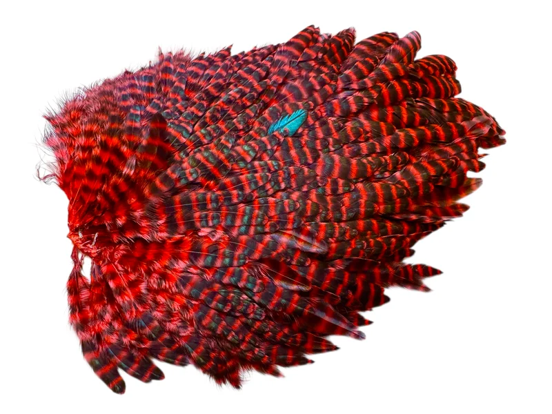 Futurefly FF Signature Hen Saddle - Red Grizzly