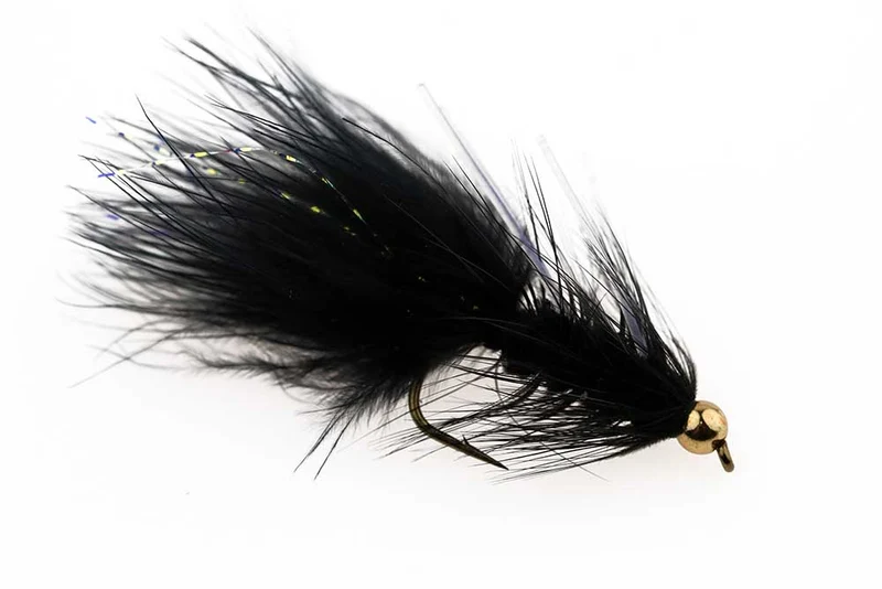Dog Nobler Black - Größe 8