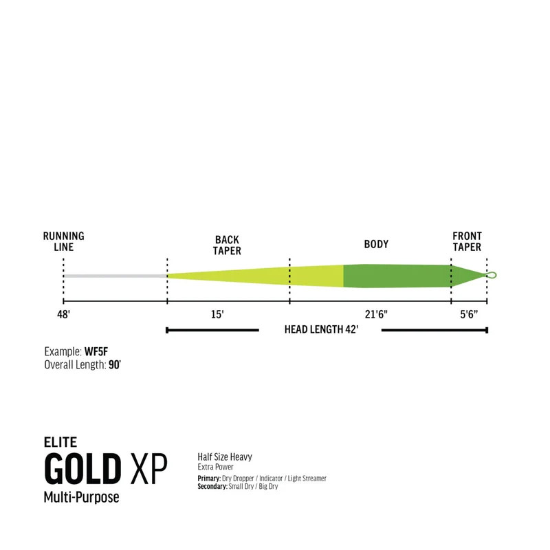 RIO - Elite Gold XP