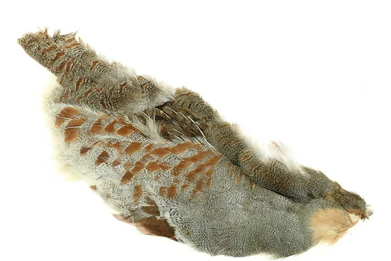 Rebhuhnhaut, ½ Haut