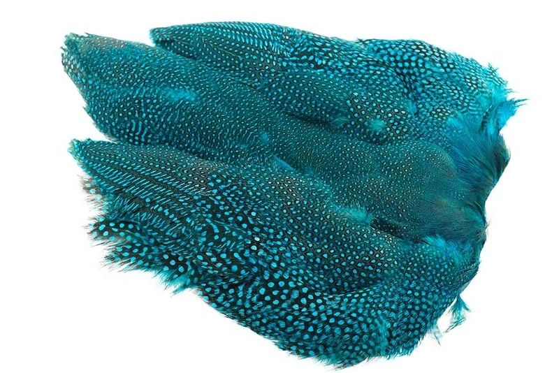 Perlhuhn, ganzer Vogel - Eisvogel Blau