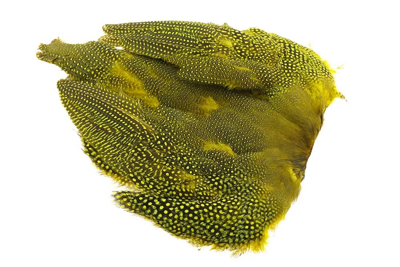Perlhuhn, ganzer Vogel - gelb