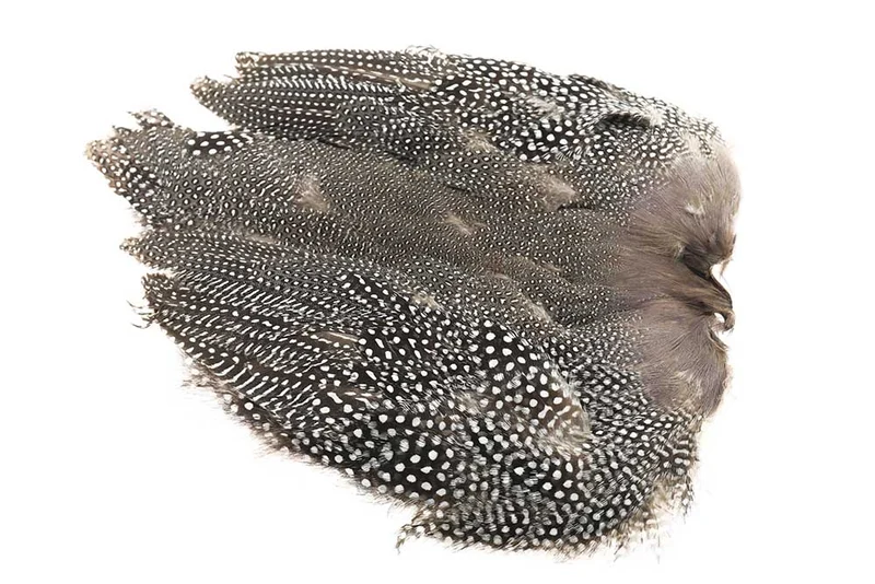 Perlhuhn (ganzer Vogel) - Natur