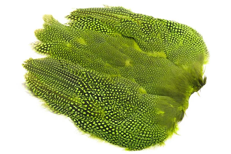 Perlhuhn, ganzer Vogel - Chartreuse