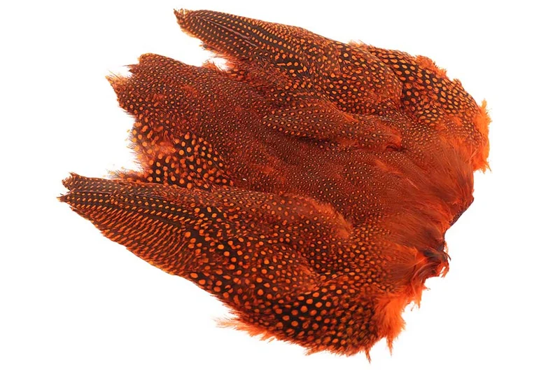 Ganzes Perlhuhn - Orange