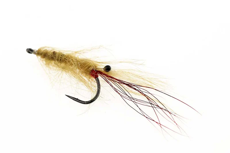 Aura Shrimp Tan - Größe 4
